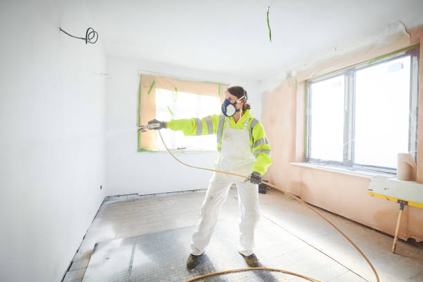 Best Emergency Mold Remediation  in Jourdanton, TX